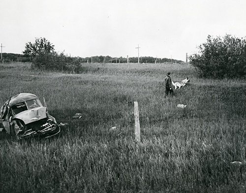 An RCMP officer uses a dog to search for Robert Cook after he escaped from Ponoka Mental Hospital (Legal Archives Society of Alberta)